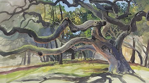 PHYLLIS SHAFER : EXAGGERATION, DISTORTION, DIMINUT...