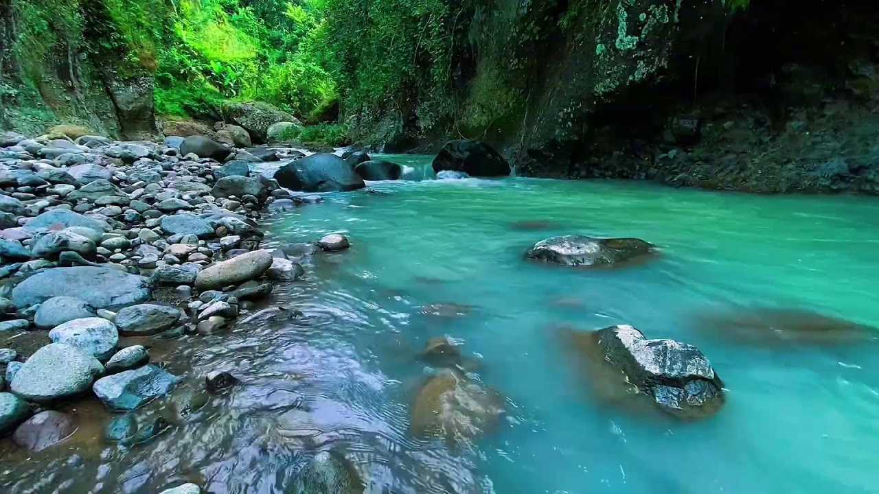 Forest River Gentle Water, Mountain Stream Flow, Sleep