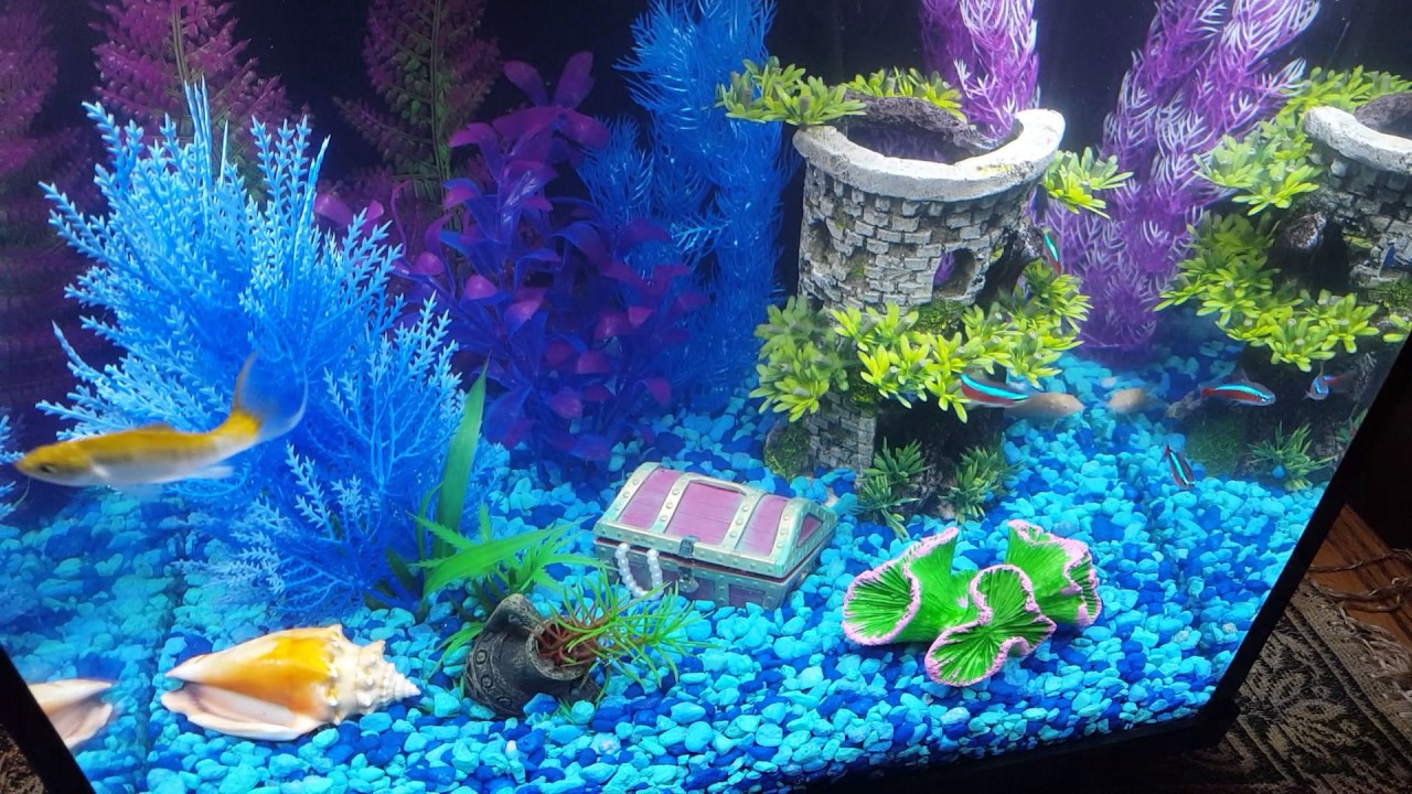 New addition treasure chest.