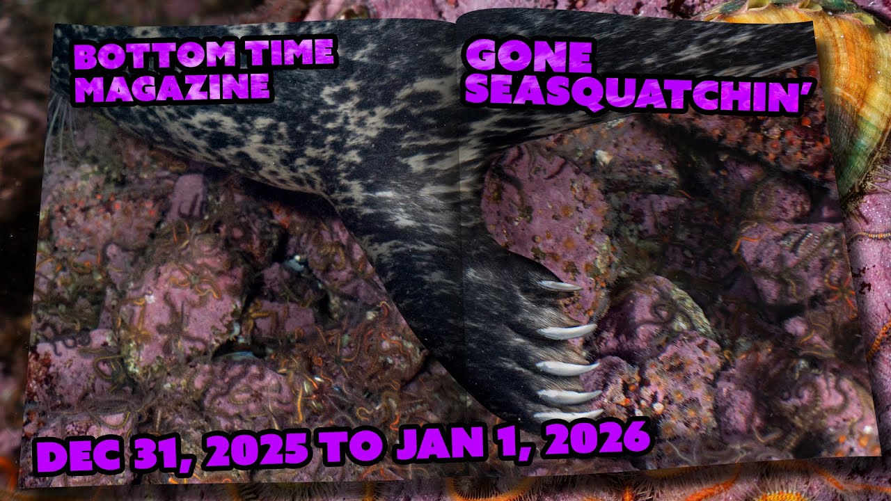 ⁣New Year's Eve Midnight SCUBA Dive In Monterey Bay | Pycno Patrol #2 | Bottom Time Magazine