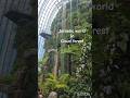 Singapore-ലെ Jurassic world In Cloud Forest. #australianmalayali #malayalivibes #keralavlogs #travel