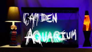 Watch American Lions Camden Aquarium video