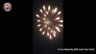 5inch-C2 5Cylinder Shell:Butterfly With Color Star Pistil