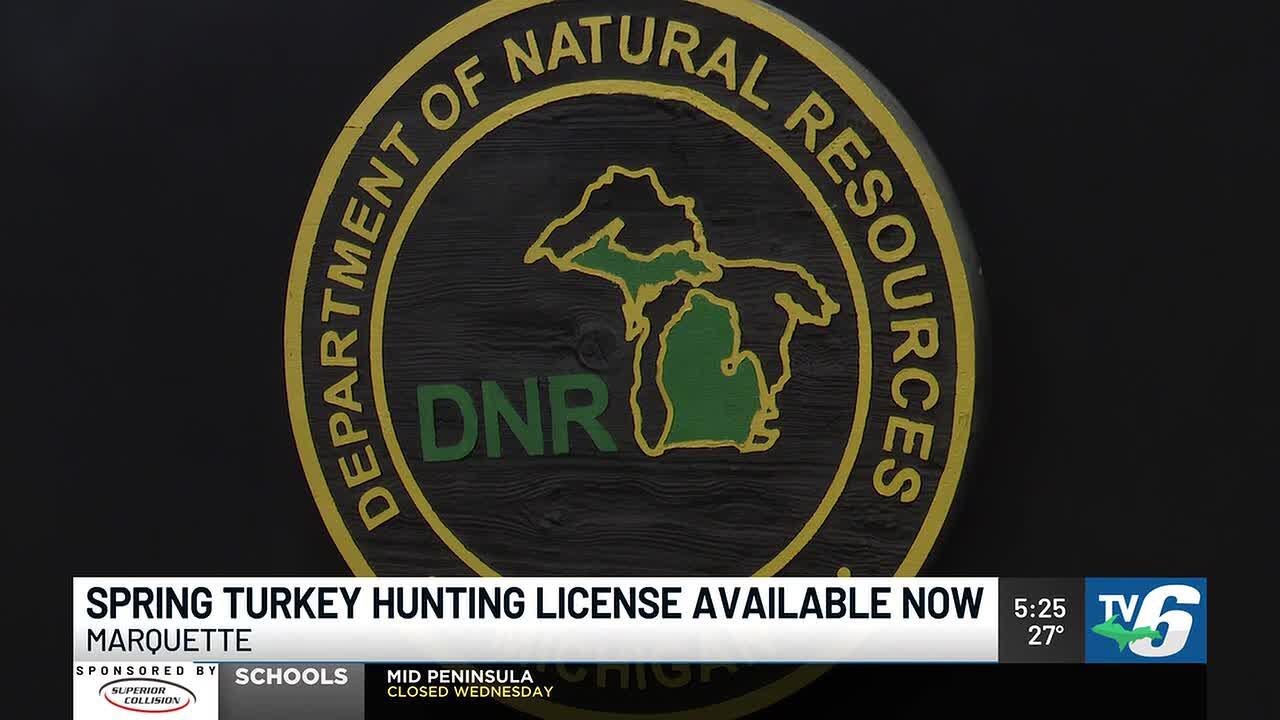 Spring turkey hunting licenses now available through Michigan DNR