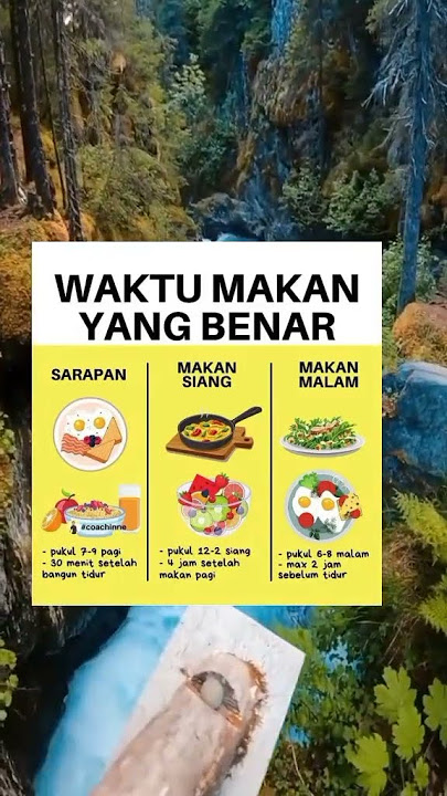 Waktu Makan yang Benar‼️‼️