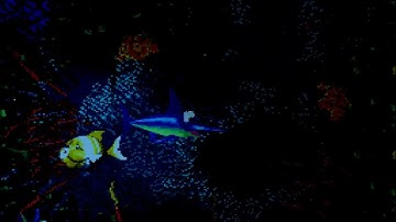 Floodlit Fish Bonus & DK Coins DKC3