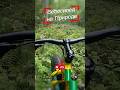 #bike #велосипед #природа #fatbike #велопоход #велопутешествие #фэтбайк #nature #велоспорт #bicycle