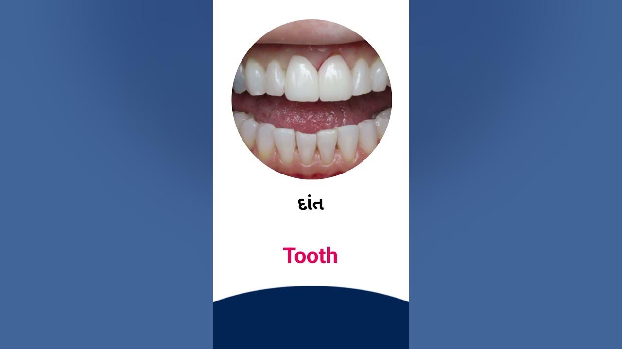 Tooth Meaning In Gujarati English Dictionary YouTube tooth-meaning-in-gujarati-english-dictionary-youtube