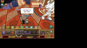 how to turn into your pet/invisable in wizard101