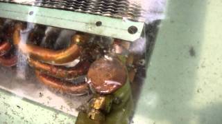 DSCF9006.AVI