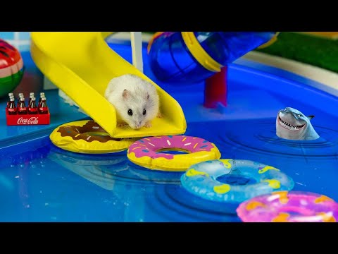 🐹MEGA HAMSTER RACE 🐹เขาวงกตกับกับดักหนูแฮมสเตอร์🐹 Minecraft Maze