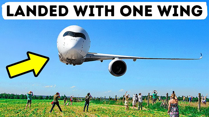 Plane That Landed with Only One Wing - DayDayNews