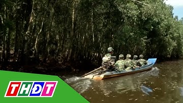 Nguy cơ cháy rừng ở cấp cực kỳ nguy hiểm tại An Giang | THDT