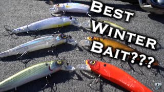 Winter Bass Fishing Tips: Is A Jerkbait The Best Winter Bait For Big Bass??? screenshot 5