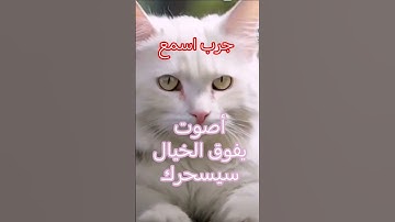 تلاوة صوت القارئ فيها يفوق الخيال سيسحرك!