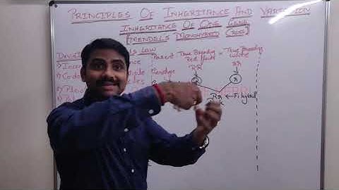 II PU BIOLOGY;Chapter-5; Principles of Inheritance & Variations;Part-6; Lecture by Mr. Sunil Chittal