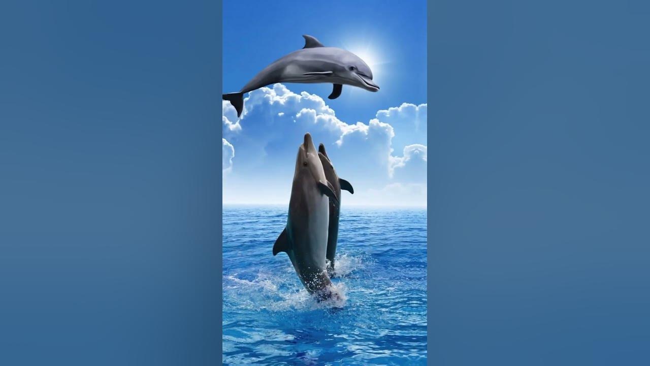 top 5 smartest animals in the world #animals#top5#youtubeshorts#