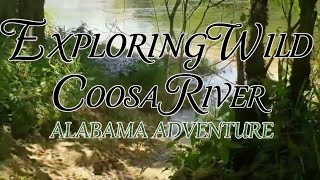 DANGEROUS Cliff Rockhounding! Finding Agates & Jaspers on the Coosa River in Alabama | E1