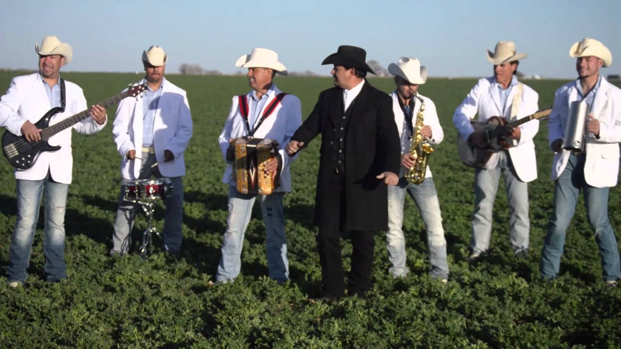 Beto Terrazas y Los Vaggos--Caricias