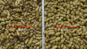 RC Serie for In-shell Peanut Color Sorting