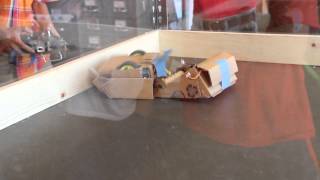 Cardboard Robot Wars - Round 1 - Columbia Gadget Works