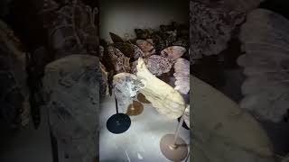 I provide crstyals and agate accept open orders