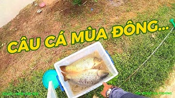 CÂU CÁ CHÉP MÙA ĐÔNG GIÁ LẠNH - ÍT NHƯNG CHẤT LƯỢNG VÀ VỀ BỜ THÀNH CÔNG - PHÚC HÀ FISHING