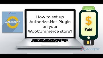 How to set up Authorize.Net Payment Gateway on your WooCommerce store?