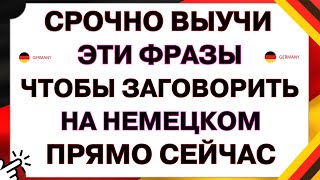 видео: Немецкий с нуля. Новый ПРАКТИЧЕСКИЙ разговорный курс - УЧИМ РАЗГОВОРНЫЕ ФРАЗЫ ДЛЯ НАЧИНАЮЩИХ НА НОЧЬ картинка: Немецкий с нуля. Новый ПРАКТИЧЕСКИЙ разговорный курс - УЧИМ РАЗГОВОРНЫЕ ФРАЗЫ ДЛЯ НАЧИНАЮЩИХ НА НОЧЬ