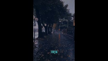 খোলা জানালা | তাহসিন আহমেদ | কালো তোতা | লিরিক্যাল স্ট্যাটাস ভিডিও