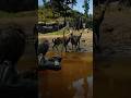 gameplay rells survival challenging gameplay shorts rells 😱😱। #rdr2 #gaming