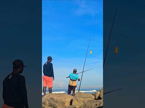 ක ව ක ව අල ලගත ත 