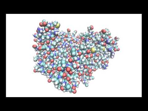 Folding@home opens a hidden drug binding site