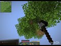 Today i am joining GIRLS only SMP | It was crazy in last 