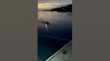 Releasing MOORING Lines On Our CRUISE SHIP #shorts #cruise #ship #royalcaribbean