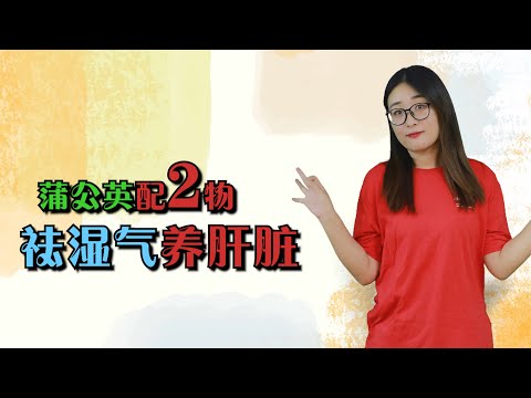 蒲公英泡水，3個好處不請自來，搭配2種植物，祛濕氣、養肝臟【侃侃養生】