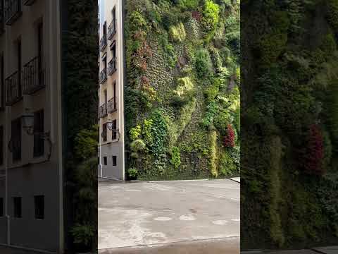 Vertical Garden Madrid A Living Oasis in the Heart of the City by Tony