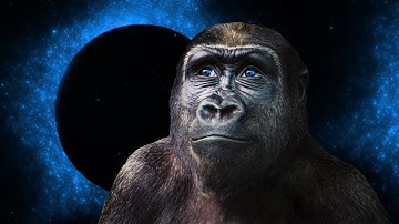 Premiere - Conf42 Chaos Engineering 2022