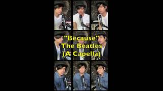 Because - The Beatles (Vocals Only) - Chris Valera