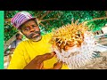 RARE Jamaican Food!! Cross-Country Jamaican Food Tour!! (Full Documentary)