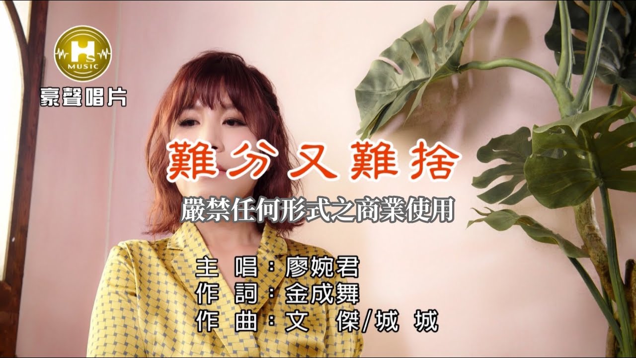 廖婉君-難分又難捨【KTV導唱字幕】1080p HD 廖婉君-難分又難捨【KTV導唱字幕】1080p HD