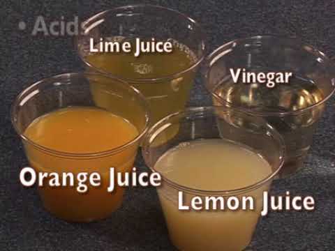 Seasoning Selection and Storage - YouTube
