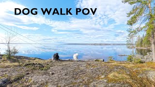 TV For Dogs: Dog walk POV!