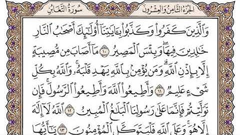سورة التغابن مكتوبة سعود الشريم