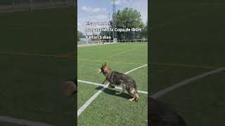 Preparando la Copa de IBGH | Elsa y Andor | Faltan 5 días