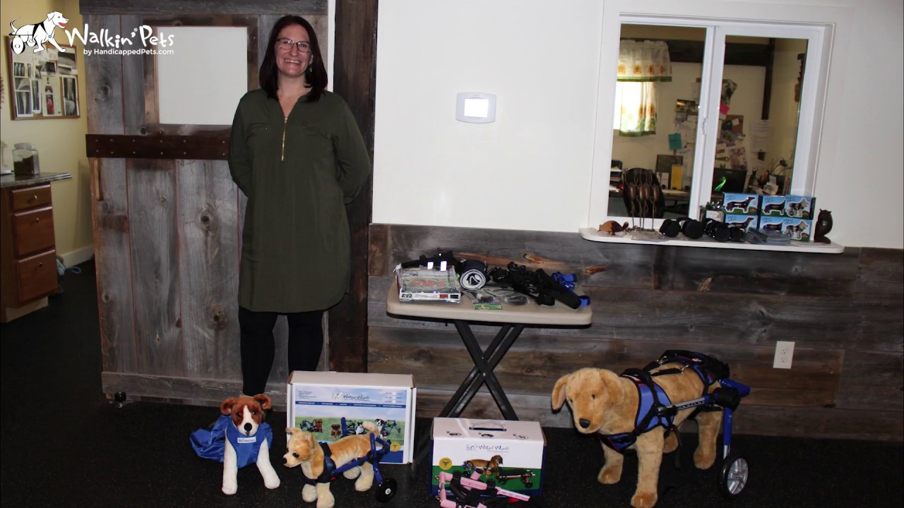 wheelchair sign Lunch and Learn with Walkin' Pets for Vet and Rehab Professionals!