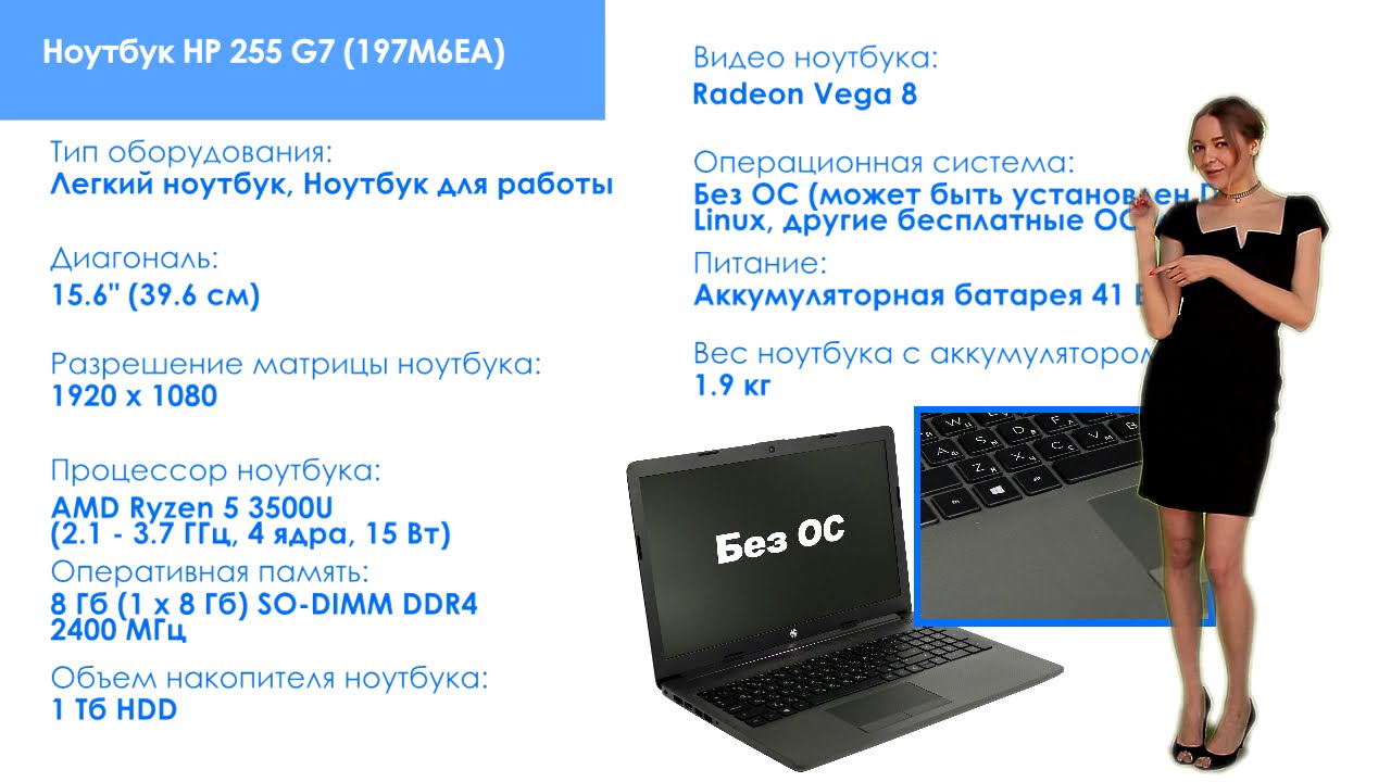 Ноутбук Hp 255 G7 15.6 Купить Барнаул