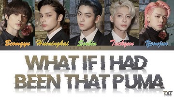 TXT (투모로우바이투게더) - What If I Had Been That PUMA (밸런스 게임) Lyrics [Color Coded Han/Rom/Eng]