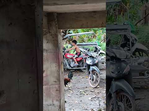 Bomba beat #suzukix4starter