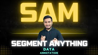Annotate Data with a Few Clicks using (SAM) Segment Anything Model in Roboflow